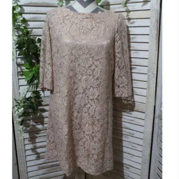 FOSSIL Champagne Blush Pink Lace Shift Dress (1309)🔮 - Picture 2 of 9